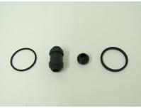 Image of Brake caliper seal kit for Rear caliper